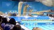 London 2012 Olympics - Women's 10m Diving Platform Final
