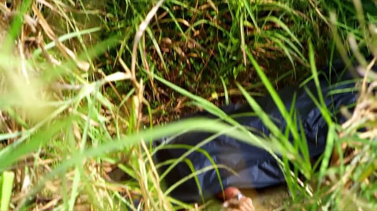 我的老千生涯 第18集【超清720p】