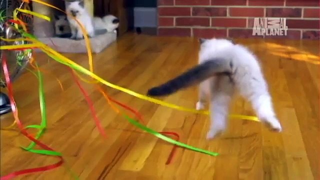 【O1O-2156-4195】오산출장안마,수원출장안마,안산출장안마,분당출장안마,성남출장안마,오산출장마사지,수원출장마사지,안산출장마사지,분당출장마사지,성남출장마사지