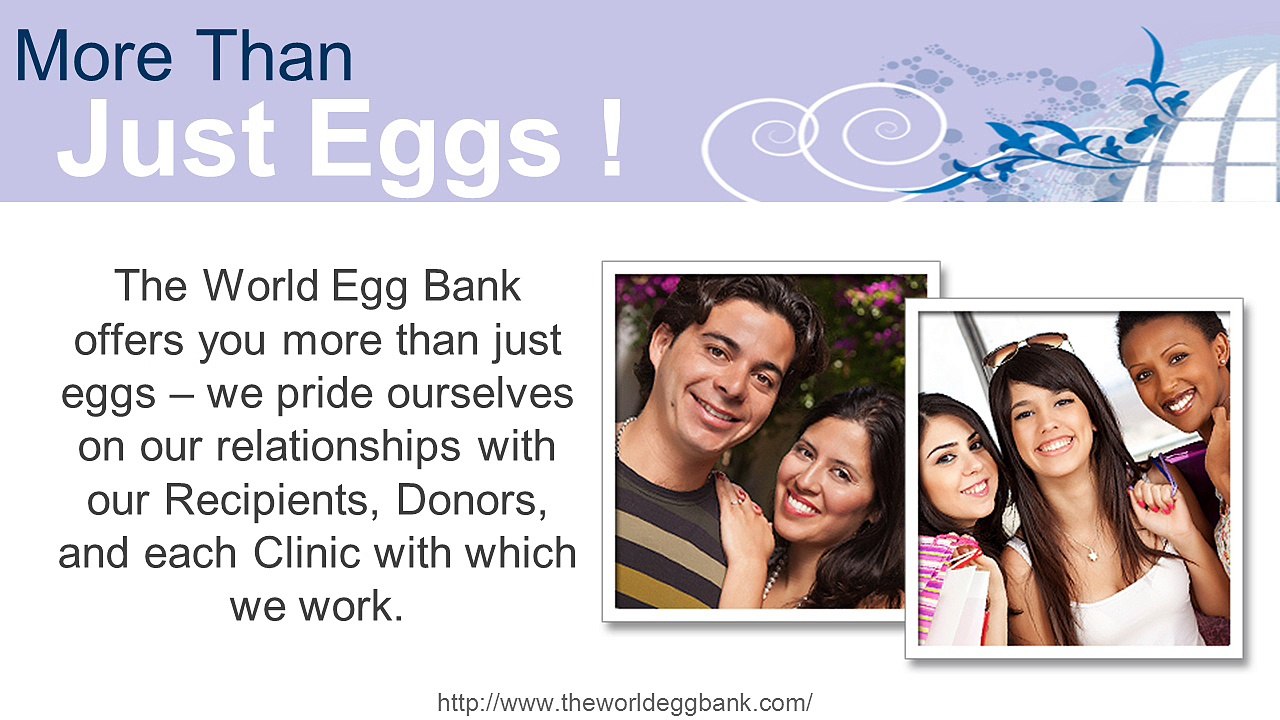 Considering Becoming an Egg Donor