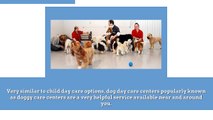 DOG DAY CARE……HOME AWAY FROM HOME FOR PETS