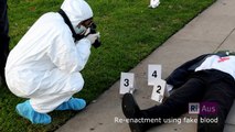 Follow your interest in forensics: Crime Scene Investigation