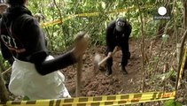 Колумбія: влада та екс-повстанці ФАРК почали розкопки масових поховань