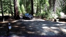 Camping: Sequoia and King's Canyon, Princess Campground Site 29