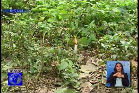 “La moza del sicariato implicada en crímenes en El Triunfo