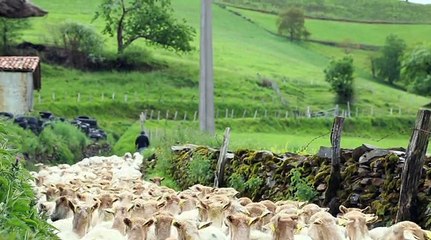 L’instant Gourmand Pur Brebis Pyrénées - Emission 1