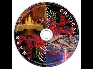Steven Welp - Critical Mass