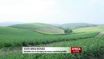 South Africa : Agriculture Stakeholders Keen on Bio Fuels