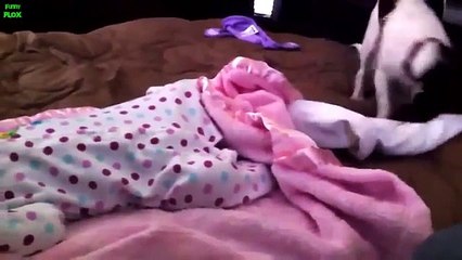 소액money _OIO_5906_0190_ GO 핸드폰소액결제 현금화/ 추천 % 핸드폰소액결제