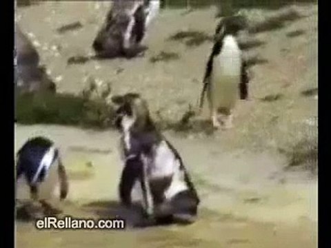 TGIF Thank God It´s Friday!