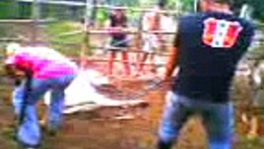 ferra do gado  do bruno video dailymotion