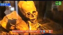 Alien in Peru Dieses Skelett darf es nicht auf der Erde geben