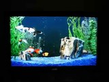 My TV Aquarium