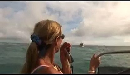 The Great Whale Trail: Tagging the whales