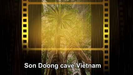Son Doong cave Vietnam
