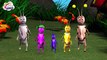 Cute Ant Finger Family _ 3D Animals Finger Family Nursery Rhymes for Children