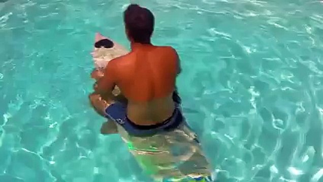 Les images de l'attaque de Mick Fanning sur le requin