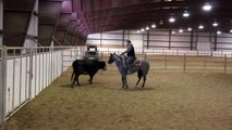 Royal Blue Smarty - Quarter Horse Mare For Sale