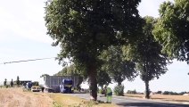 Luçon : route de La Roche, les arbres coupés pour faire passer les convois