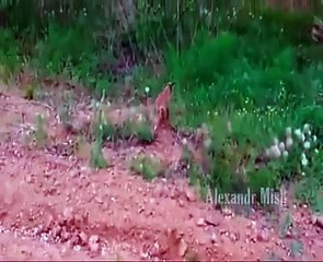 There are too many good people in this world