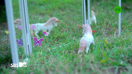 [Teaser] all members of APRIL(에이프릴)