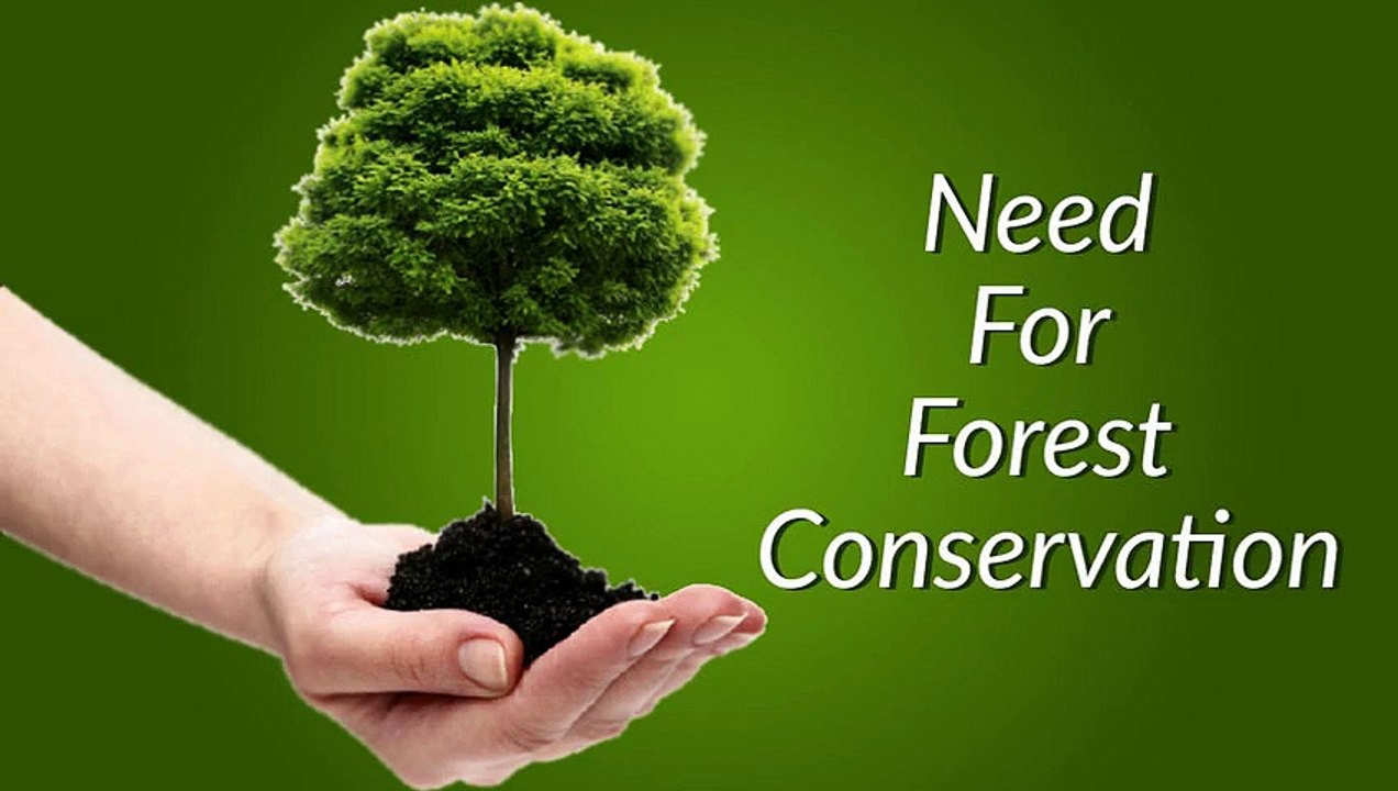 Need For Forest conservation