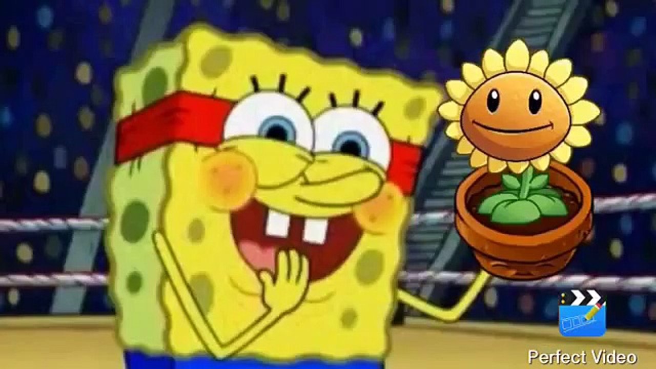 Spongebob and sunflower