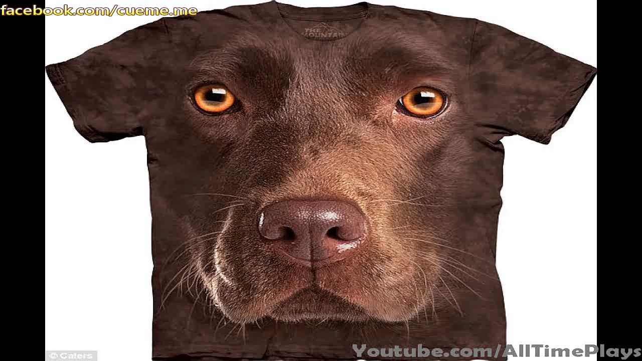 William Benson - Crazy 3D T-shirt