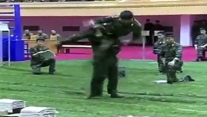 L'armée avec laquelle il ne vaut mieux pas s'embrouiller