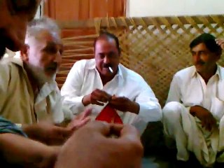 One Of The Best Batair (Common Quail) Fights At Shah Allah Ditta, Islamabad, Pakistan!