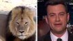 Mort du lion Cecil : ému, Jimmy Kimmel étrille le chasseur américain responsable de sa mort