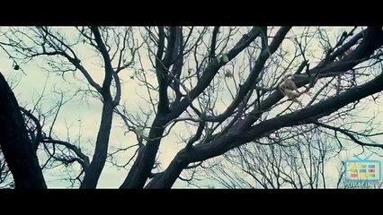 Moor - Pakistani Film Official Trailer HD