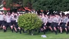 En Nouvelle-Zélande, en l'honneur de leur professeur décédé, 1.700 élèves effectuent un haka