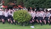 En Nouvelle-Zélande, en l'honneur de leur professeur décédé, 1.700 élèves effectuent un haka