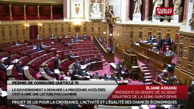 Best of « permis de conduire » du projet de loi Macron - En séance