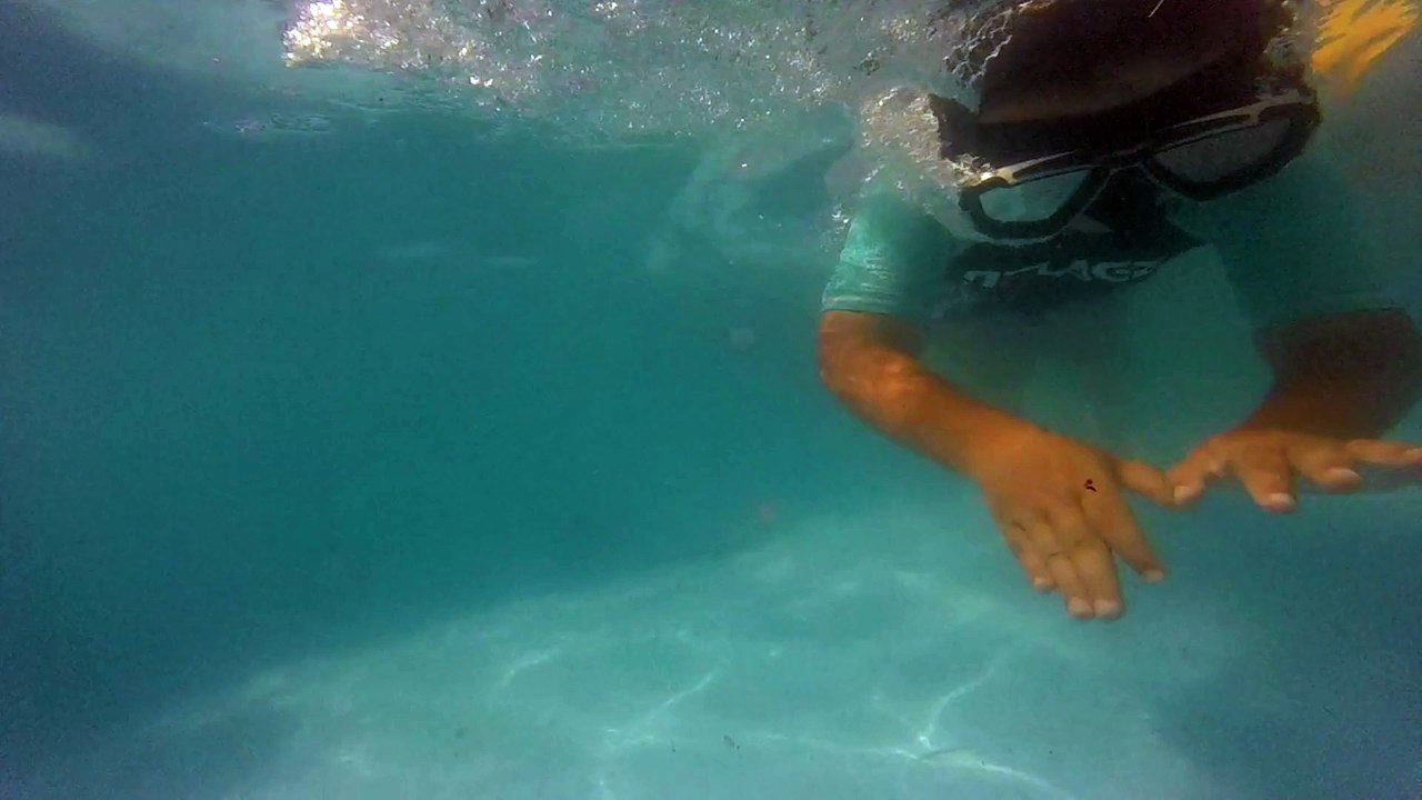 trailler vacances 2015