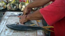 pescador limpiando pescado y langosta