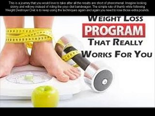 Weight Destroyer Program Review