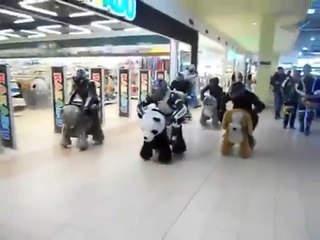 Course insolite dans un Carrefour