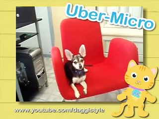 Ultra Kawaii - Baroo?