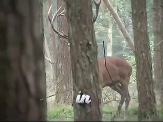 Gevecht in de mist/ Battle in the mist, [Veluwe]