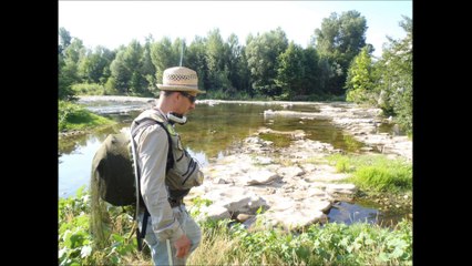 carpe a la mouche dans le gardon mardi 14 juillet 2015