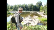 carpe a la mouche dans le gardon mardi 14 juillet 2015
