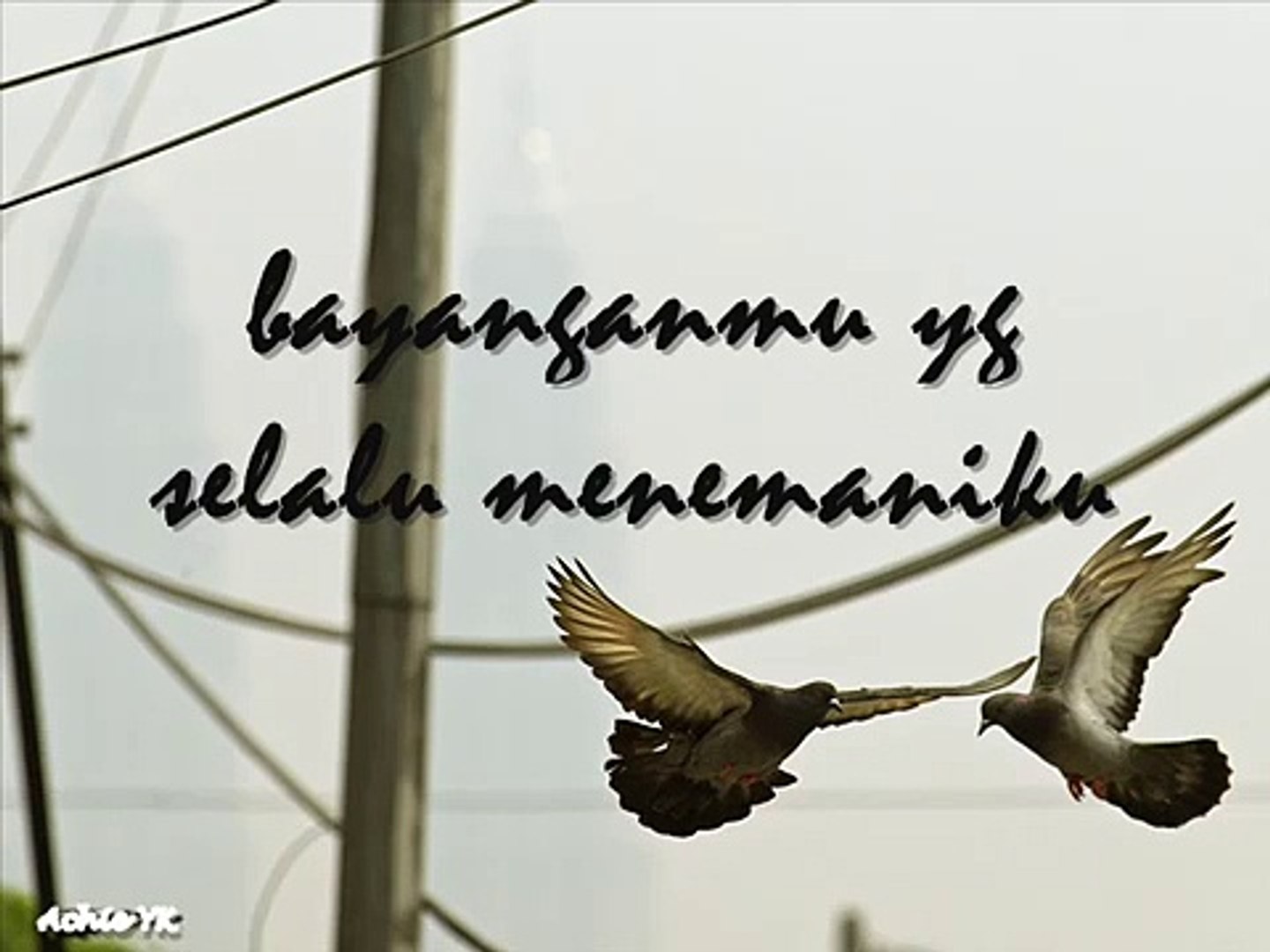 Karena Ku Sayang Kamu Dygta Video Dailymotion Oskar mahendra 2 years ago. karena ku sayang kamu dygta
