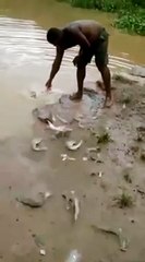 Unusual method catching fishes