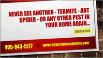 Pest Control Oklahoma City, Best Pest Control in Oklahoma City By Reliance Pest Solutions