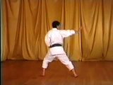 Nijushiho Ohta Sensei, JKA Shotokan