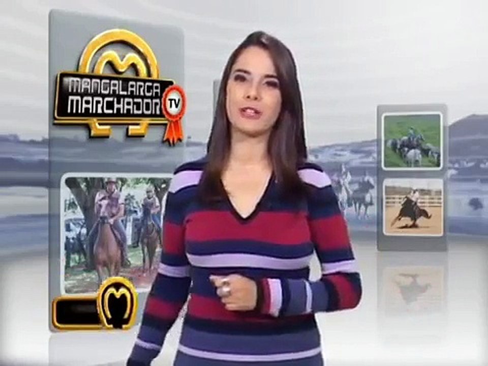 LINHAGEM ANGAI - O COMEÇO