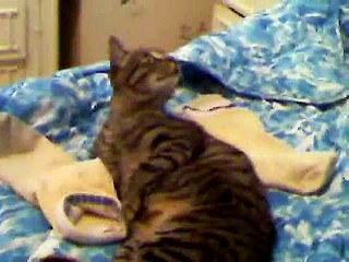 Birra si fa il bidet