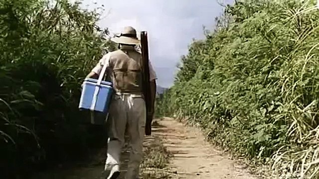 Sonatine - Takeshi Kitano - 1995